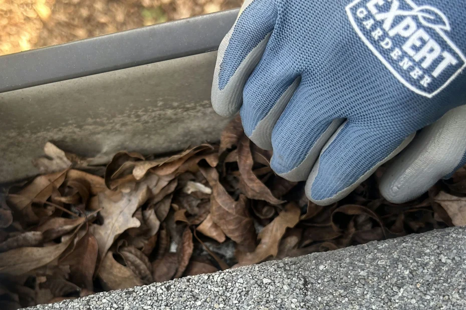 Gutter Cleaning Shawnee, KS