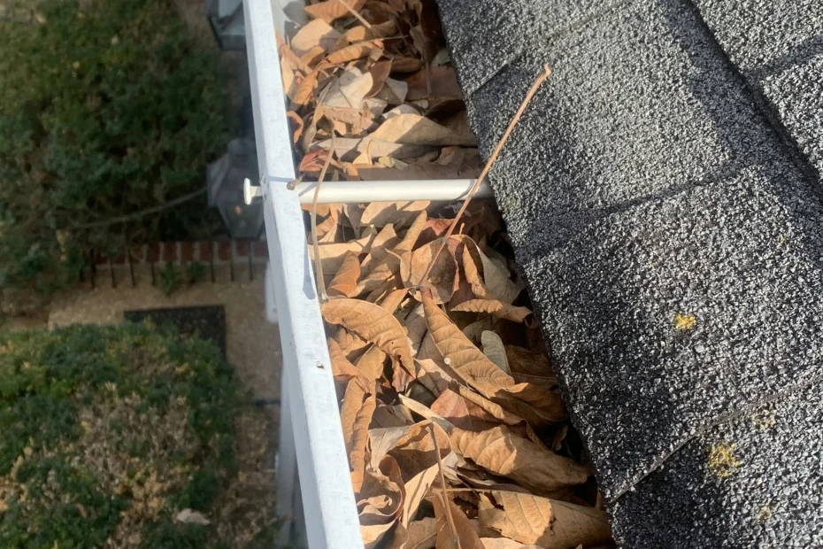 Gutter Cleaning Shawnee, KS